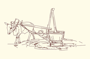 oil-process